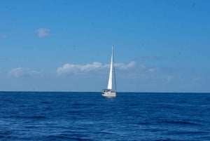 Lady Sunshine Luxury Boat Private Tour, 3, 4, 6 or 8 hours