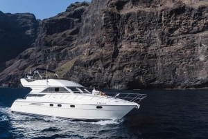 Las Galletas: Privat luksus yacht krydstogt med frokost