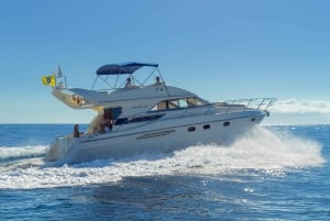 Las Galletas: Privat luksus yacht krydstogt med frokost