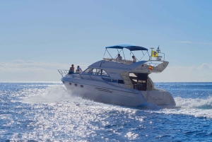 Las Galletas: Privat luksus yacht krydstogt med frokost