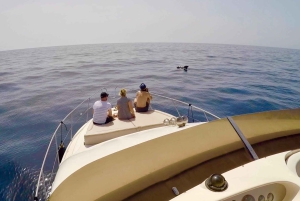 Las Galletas: Privat luksus yacht krydstogt med frokost