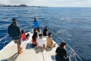 Las Galletas: Whale & Dolphin Tour with Local Skipper