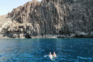 Las Galletas: Tour delle balene e dei delfini con skipper locale