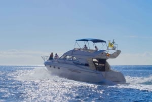 Tenerife: Whales and Snorkeling Tour on a Luxury Yacht