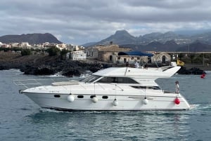 Tenerife: Passeio de baleias e mergulho com snorkel em um iate de luxo