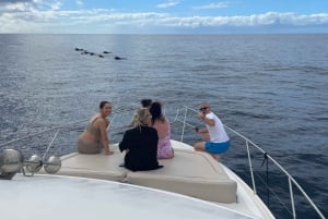 Tenerife: Hval- og snorkletur på en luksusyacht