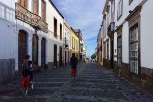 Las Palmas de Gran Canaria: begeleide stadstour op de fiets
