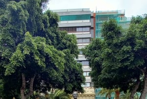 Лас-Пальмас: частный тур по городу и северным деревням