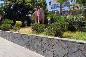 Лас-Пальмас: частный тур по городу и северным деревням