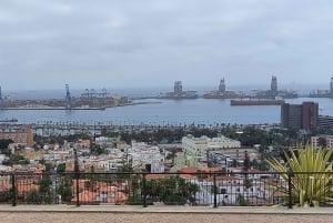 Лас-Пальмас: частный тур по городу и северным деревням