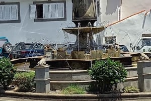 Лас-Пальмас: частный тур по городу и северным деревням