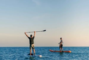 Los Cristianos : 1 Hour of Paddle surf Rental