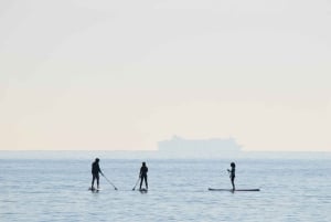 Los Cristianos : 1 Hour of Paddle surf Rental
