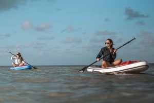 Los Cristianos : 1 Hour of Paddle surf Rental