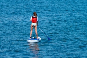 Los Cristianos : 1 Hour of Paddle surf Rental