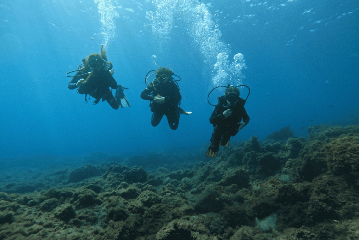 Los Cristianos: Basic Diver Course