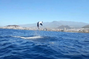 Los Cristianos: Small Group Kayaking Tour with Snorkeling