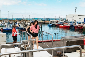Los Cristianos: Walvistour met eco-jacht en zwemmen