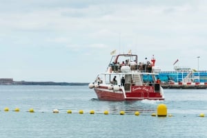 Los Cristianos: Eco-Yacht hvalsafari med svømmetur