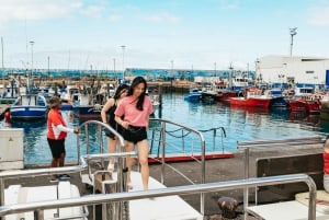 Los Cristianos: Eco-Yacht hvalsafari med svømmetur