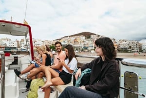 Los Cristianos: Eco-Yacht hvalsafari med svømmetur