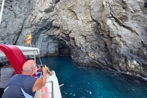 Los Cristianos: Eco-Yacht hvalsafari med svømmetur