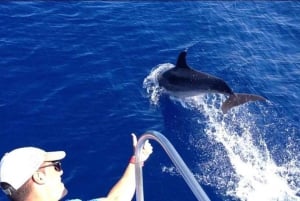 Los Cristianos: Eco-Yacht hvalsafari med svømmetur