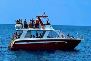 Los Cristianos: Eco Yacht Whale Watching Tour at Sunset