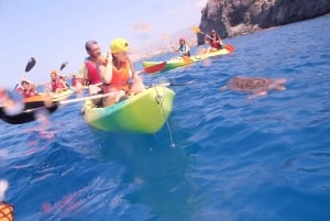 Tenerife: Kayak & Snorkel with Turtles & Dolphins w/Photos