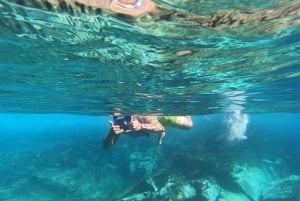 Tenerife: Kayak & Snorkel with Turtles & Dolphins w/Photos