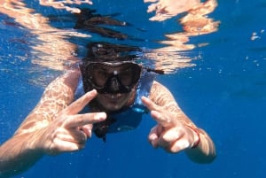 Tenerife: Kayak & Snorkel with Turtles & Dolphins w/Photos
