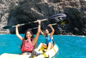Tenerife: Kayak & Snorkel with Turtles & Dolphins w/Photos