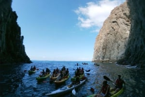 Tenerife: Kayak & Snorkel with Turtles & Dolphins w/Photos