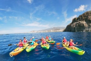 Tenerife: Kayak & Snorkel with Turtles & Dolphins w/Photos