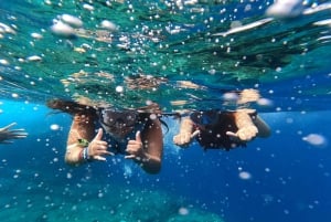 Tenerife: Kayak & Snorkel with Turtles & Dolphins w/Photos