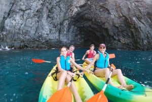 Tenerife: Kayak & Snorkel with Turtles & Dolphins w/Photos