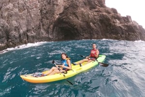 Tenerife: Kayak & Snorkel with Turtles & Dolphins w/Photos