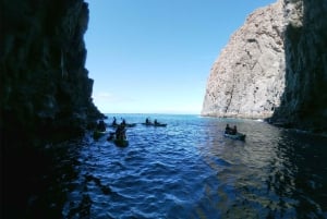 Tenerife: Kayak & Snorkel with Turtles & Dolphins w/Photos