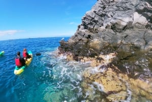 Tenerife: Kayak & Snorkel with Turtles & Dolphins w/Photos