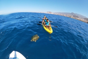 Los Cristianos: Kayak and Snorkel with Turtles