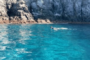 Los Cristianos: Kajak- og snorkeltur med skildpadder og fotos inkluderet