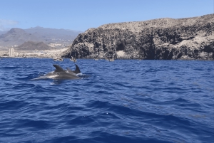 Los Cristianos: Kajak- og snorkeltur med skildpadder og fotos inkluderet
