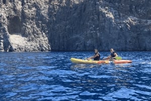 Los Cristianos: Kajak- og snorkeltur med skildpadder og fotos inkluderet