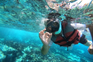 Лос-Кристианос: каякинг и сноркелинг с черепахами