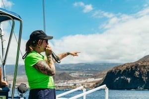Los Cristianos: No-Chase Whale and Dolphin Cruise