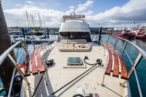 Los Cristianos: huur een privéjacht om walvissen te spotten met eten en zwemmen