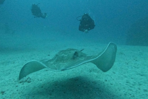 Los Cristianos: Scuba Diver Course