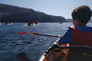 Los Cristianos: Small Group Kayaking Tour with Snorkeling