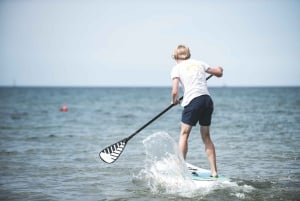 Los Cristianos: Stand Up Paddle Board-Unterricht
