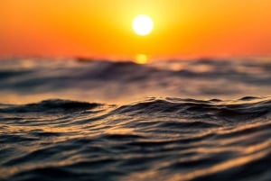 Los Cristianos : Sunset Kayak Safari with Cave & Wildlife